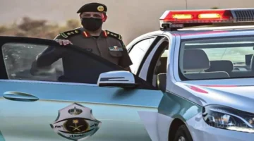 رسميًا.. بدء المزاد الإلكتروني على اللوحات المميزة عبر أبشر 1